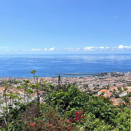 Casa D'avo Filo * فونشال